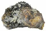 Sphalerite and Galena Association - Pine Point Mine, Canada #64513-1